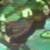 Aldarn kicks Phobos' guards' butts
