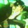 Aldarn fighting Caleb
